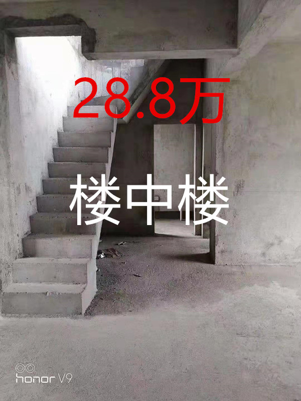 盛世嘉园楼中楼(图1)